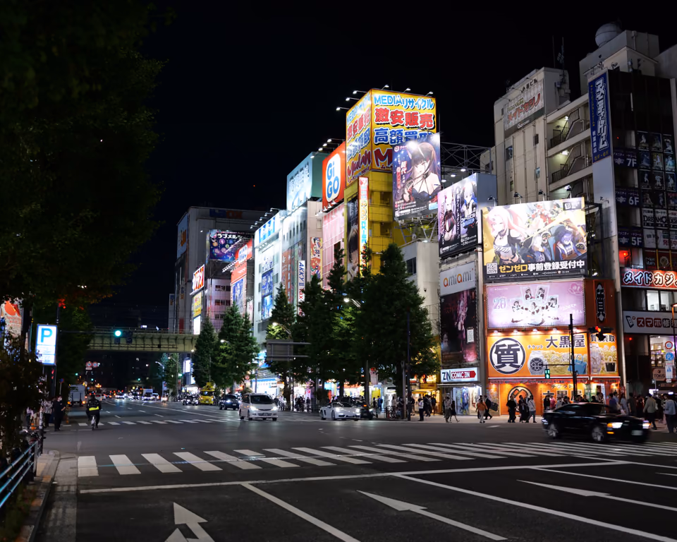 Akihabara at night
