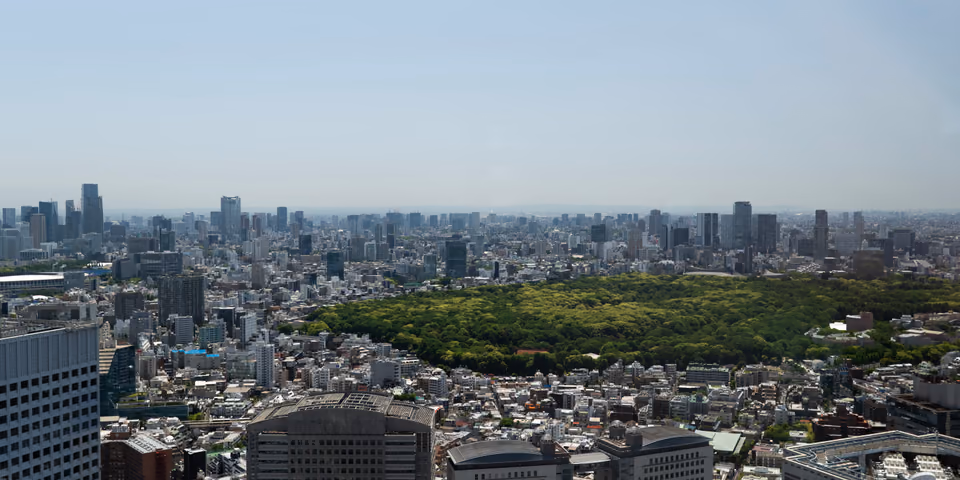 Forest in the city
