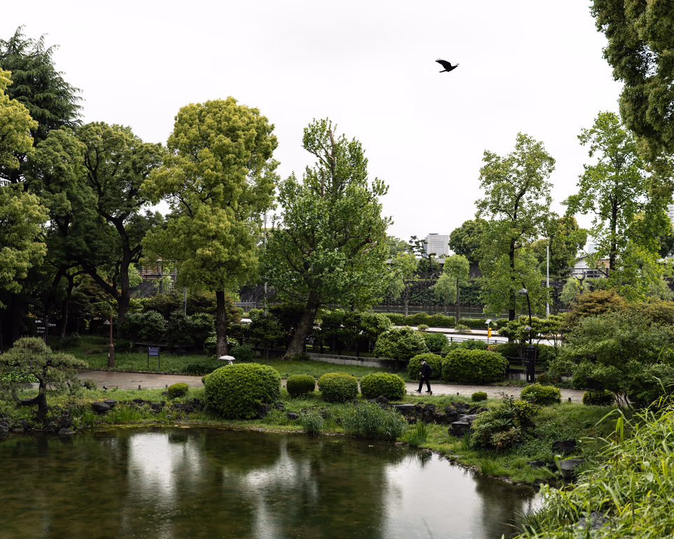 Garden pond