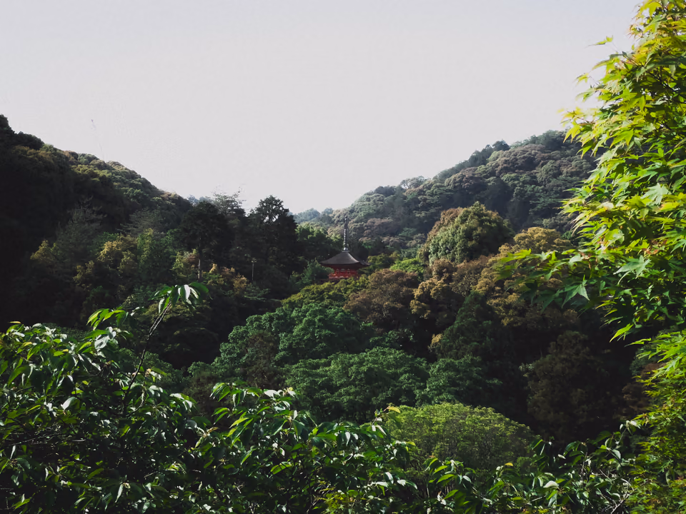 Hidden pagoda