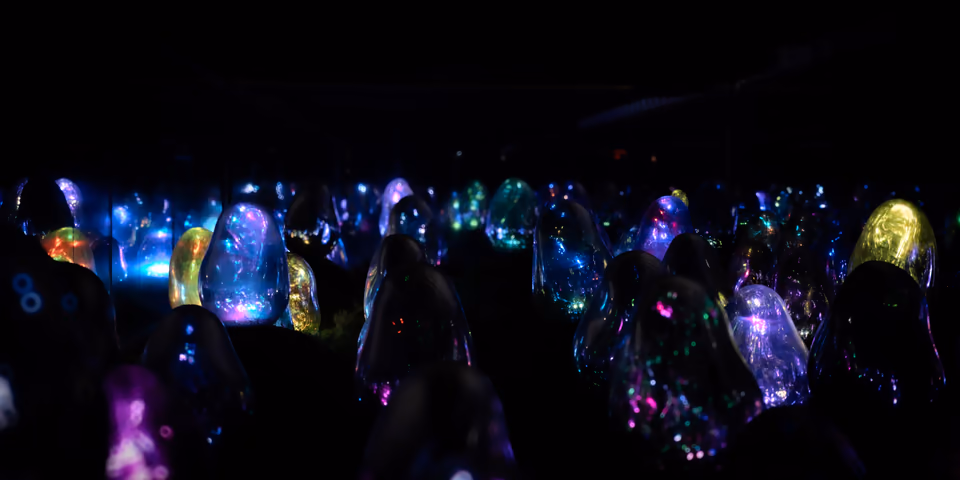 Lights in the dark
