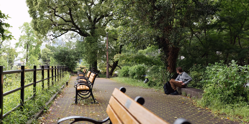 Park benches