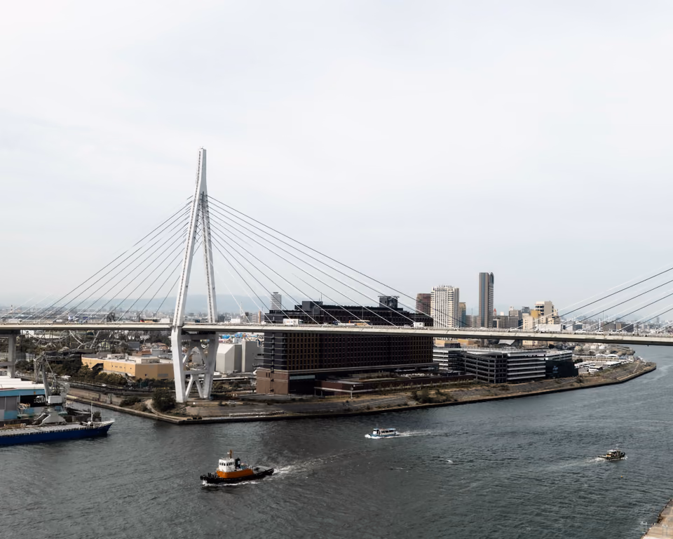 The bridge
